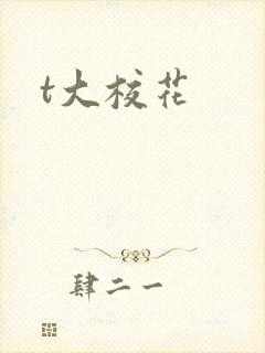 t大校花