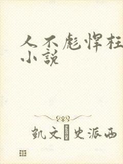 人不彪悍枉少年小说