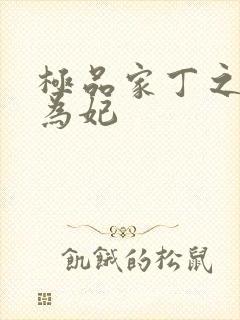 极品家丁之册母为妃