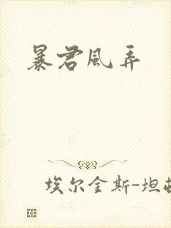 暴君风弄