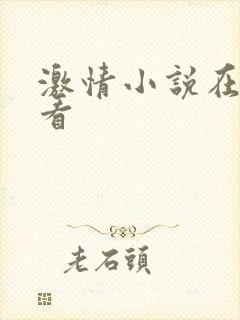 激情小说在线观看