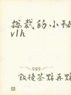 总裁的小秘书1v1h