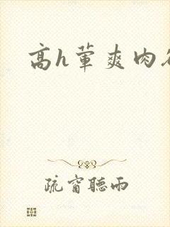 高h荤爽肉欲文