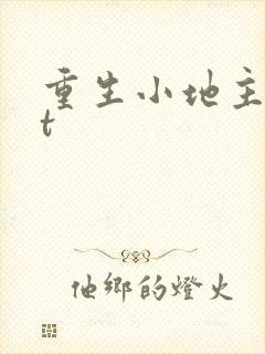 重生小地主txt