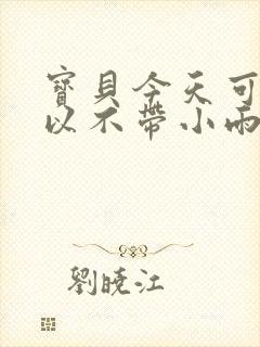 宝贝今天可不可以不带小雨伞