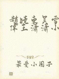 赵晓东吴雪晴郑伟王潇潇小说