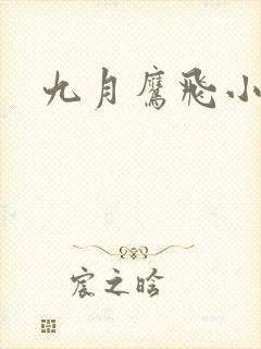 九月鹰飞小说
