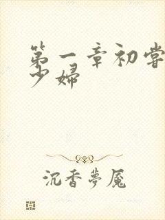 第一章初尝极品少妇