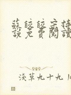 苏皎皎宋持的小说免费阅读