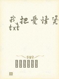 我把爱情煲成汤txt