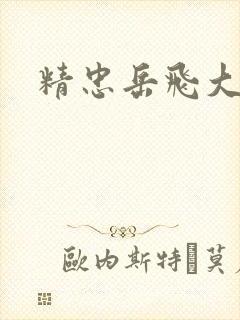 精忠岳飞大结局