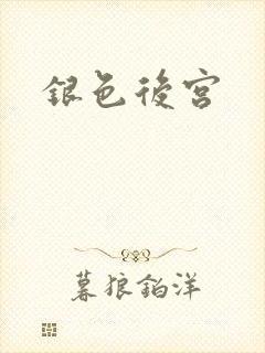 银色后宫