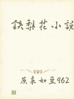 铁梨花小说