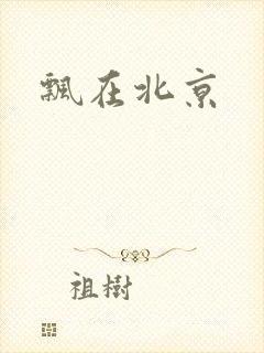 飘在北京