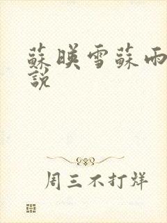 苏映雪苏雨柔小说