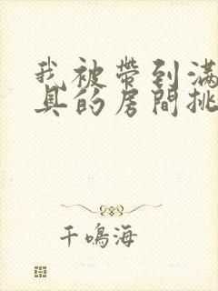 我被带到满是玩具的房间挑调游戏