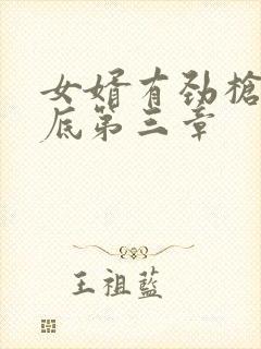 女婿有劲枪枪到底第三章