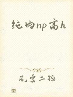 纯肉np高h