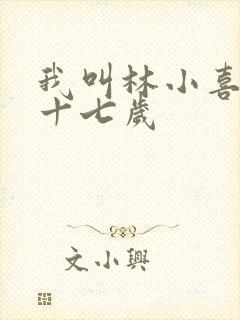 我叫林小喜今年十七岁