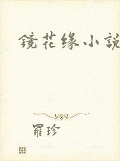 镜花缘小说