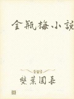 金瓶梅小说下载