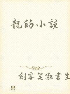 龙的小说