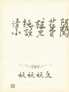 清纯校花堕落记小说免费阅读