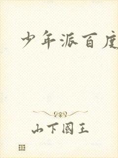 少年派百度百科