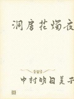 洞房花烛夜小说