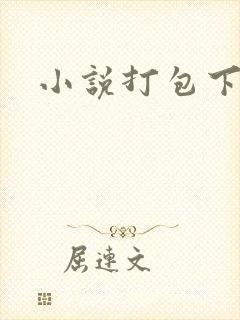 小说打包下载