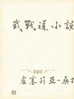 武战道小说
