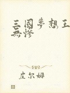 三国梦想王元姬无惨