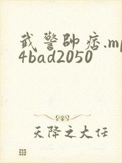 武警帅痞.mp4bad2050