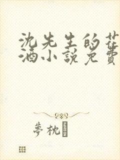 沈先生的花式调酒小说免费阅读