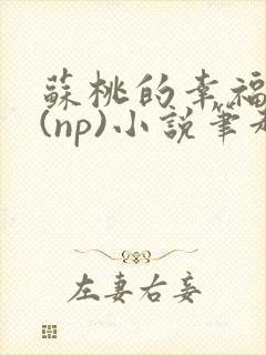 苏桃的幸福生活(np)小说笔趣阁沐沐