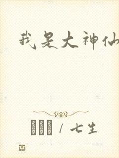 我是大神仙小说