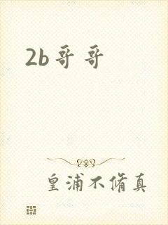 2b哥哥