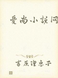 爱尚小说网