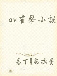av有声小说