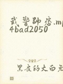 武警帅痞.mp4bad2050