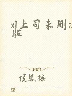 xl上司未删减版