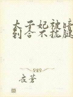 太子妃被暗卫C到合不拢腿