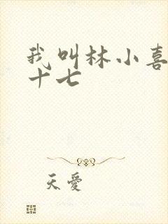 我叫林小喜今年十七