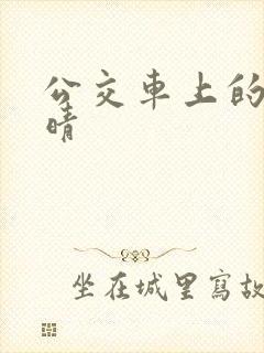 公交车上的诗请晴