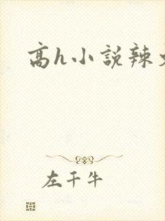 高h小说辣文