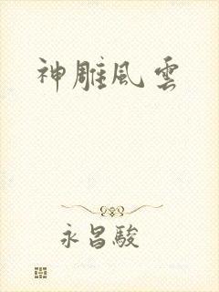 神雕风云
