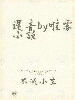 迟音by唯雾的小说