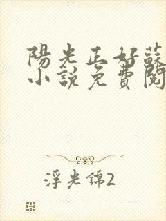 阳光正好苏玥玥小说免费阅读无弹窗