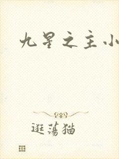 九星之主小说