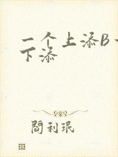 一个上添B一个下添